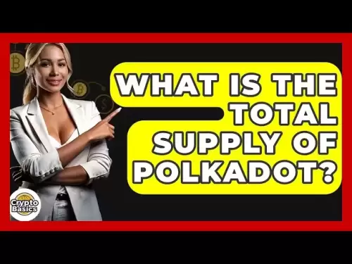 What Is The Total Supply Of Polkadot? - CryptoBasics360.com