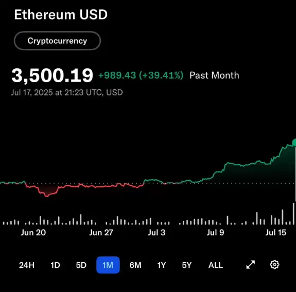 The Long Investor