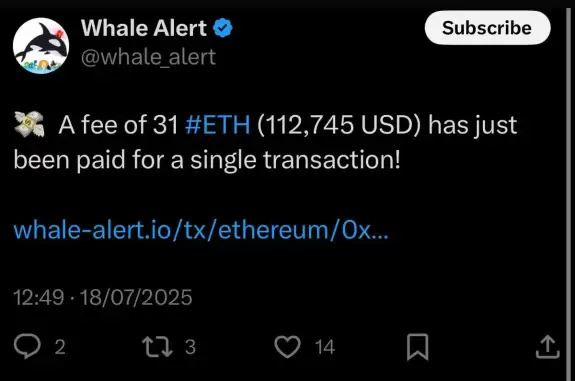 Crypto Rover