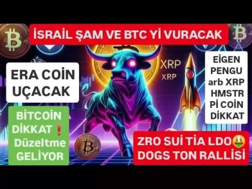 ERA Pengu XRP HMSTR ARB PI COIN CAINTION