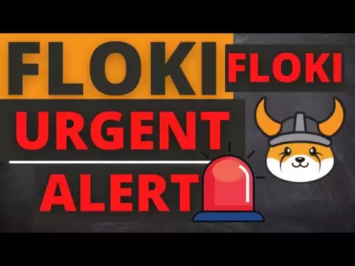 Floki Coin Token Price News 오늘 가격 예측 기술 분석