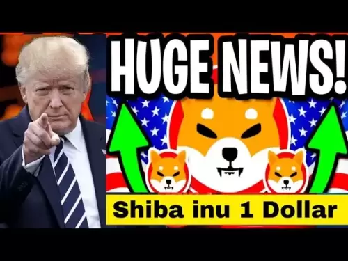 Shiba Inu 1美元的大新闻今天，shiba inu硬币新闻！财务分析师比特币交易最佳应用