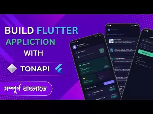 Make Ton Explorer | Ton NFT Cheker | Ton Gas Fee Estimator Using TonApi & Flutter | Open Network