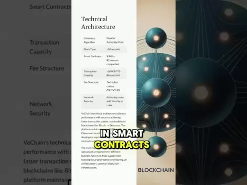 Vétérinaire Le cœur de l'écoststème de la blockchain de Vechain