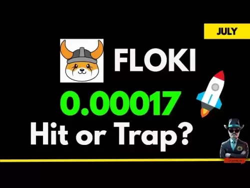Floki的0.00017目標仍然有效嗎？是時候獲利了嗎？