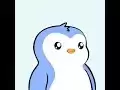 Pengu -Münze (Suchaktualisierung)