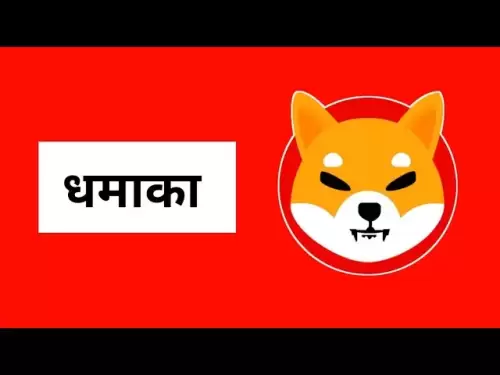 Machen Sie sich bereit Shiba Inu Coin Valo | Shiba Inu Coin News heute