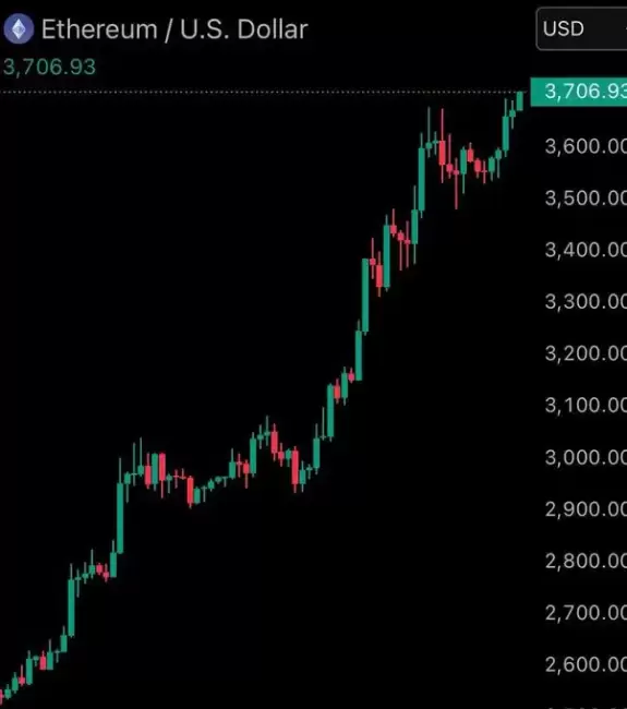 Crypto king