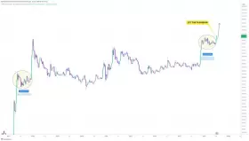 CRYPTOWZRD