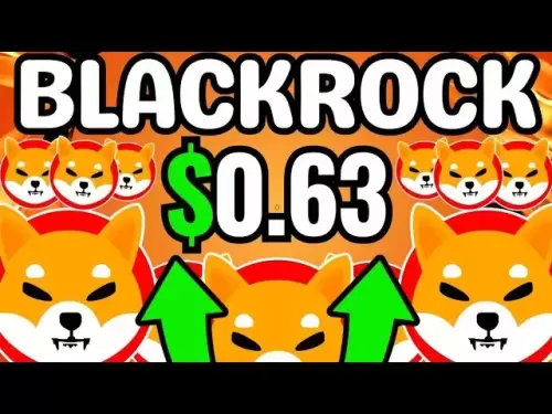 Shiba Inu：BlackRockこれは本当ですか？！大量の67,000,000,000,000のリスク！ Shiba Inu Coin Newsの予測