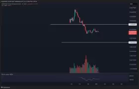 Crypto Kemal🥷