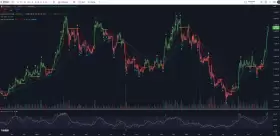 Don't follow Shardi B if you hate Money