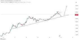 IncomeSharks