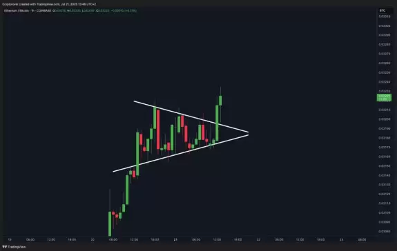 Crypto Rover