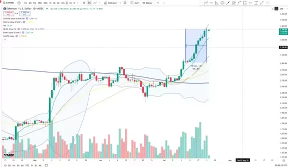 Cheds Trading
