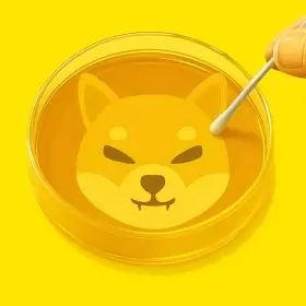 Shib