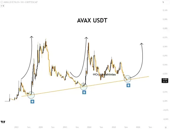 Cryptosahintas