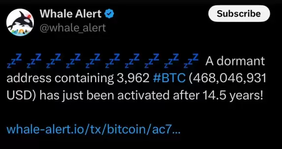 Crypto Rover