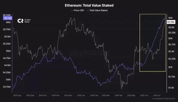 Crypto Rover
