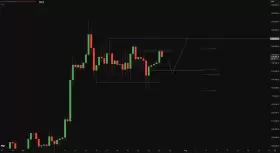 Crypto Chase
