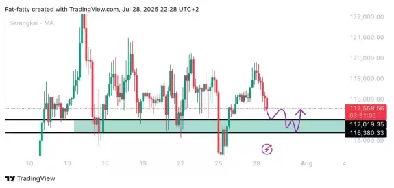 Unknown Trader