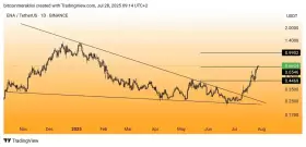 Bitcoin Meraklısı