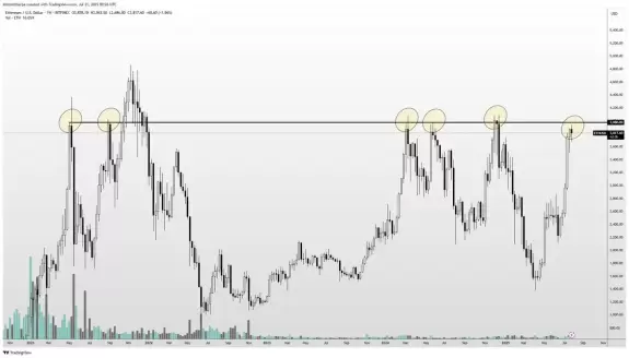 Altcoin Sherpa