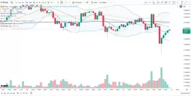 Cheds Trading