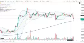 Cheds Trading