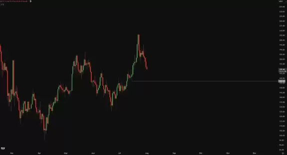 Crypto Chase