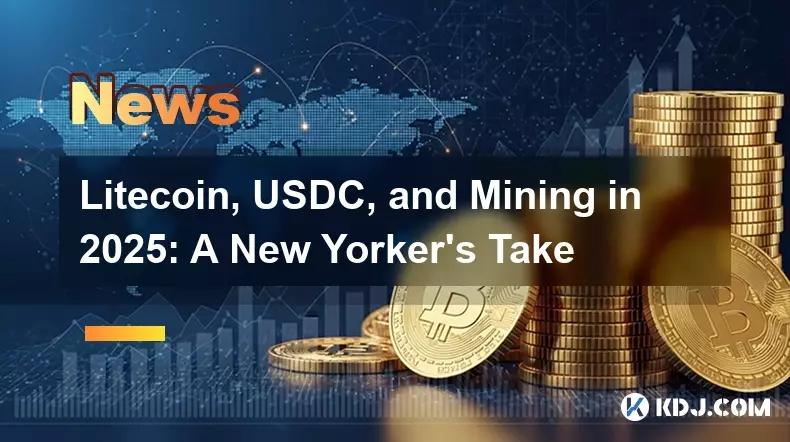 Litecoin,USDC和2025年的采矿:纽约人的拍摄 Litecoin,USDC和2025年的采矿:纽约人的拍摄