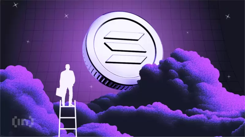 索拉納的持久力:長期持有人和價格反彈 索拉納的持久力:長期持有人和價格反彈