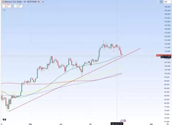 CryptoBoss