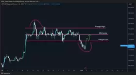 Trader Koala