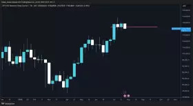 Trader Koala