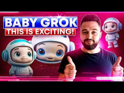 Baby Grok: Das Community-gesteuerte Meme-Token, der Wellen auf der BNB-Kette macht?