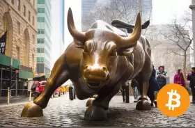 BITCOINLFG®