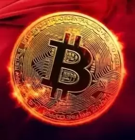 BITCOINLFG®
