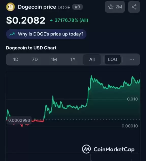 CEO