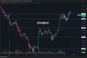 Daan Crypto Trades