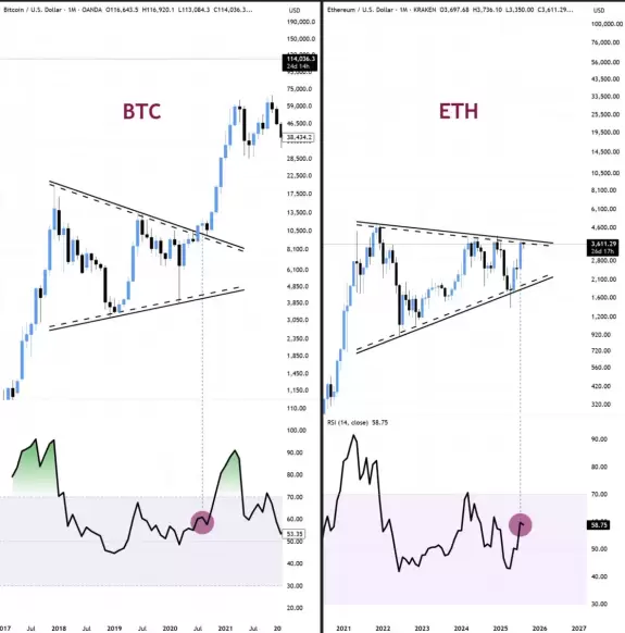 Bitbull
