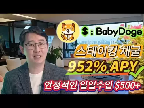 Bull Jang Rich Strategy: BabyDoge Coin Stake and 952% profit