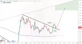 CryptoBullet
