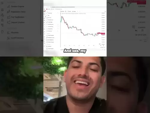 泵硬币是隐藏的宝石还是陷阱？ ??