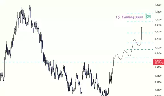 Borsa Ressamı🖌✍️