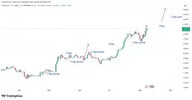 IncomeSharks