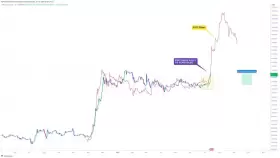 CRYPTOWZRD