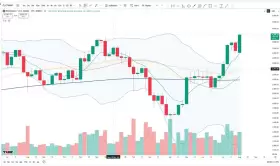 Cheds Trading