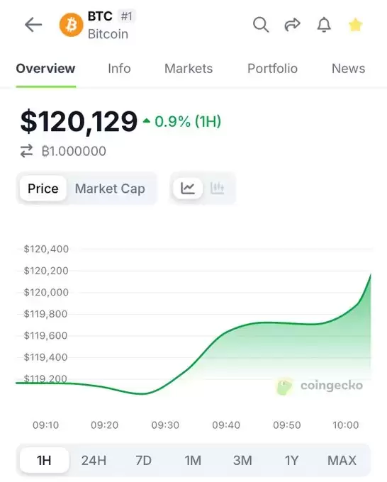 CoinGecko