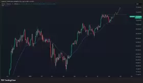 CrypNuevo🔨